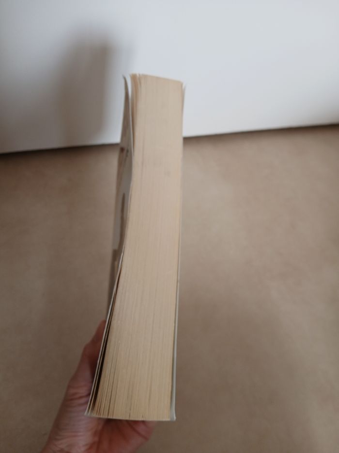 Livre l’appel de l’ange Guillaume musso - photo numéro 7
