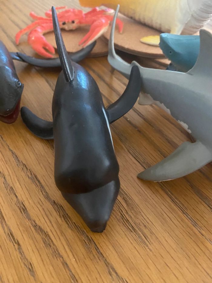 Lot animaux marins - photo numéro 3