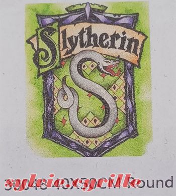 Diamond Painting 40×50 Harry Potter Serpentard rond