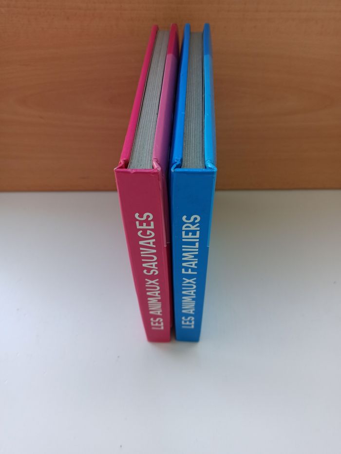 02 Livres pour Bébé - photo numéro 3