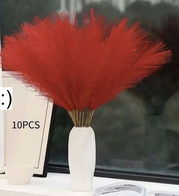 bouquet  de 10 tiges pampa rouge  50cm