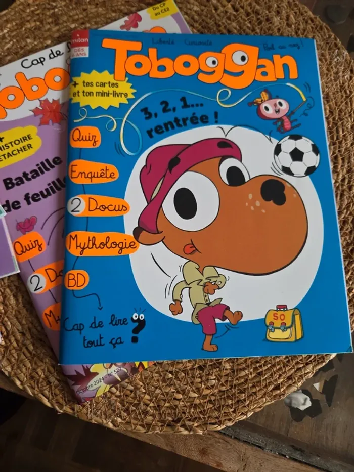 Lot de 5 Tobbogans. Dès 6 ans - photo numéro 11