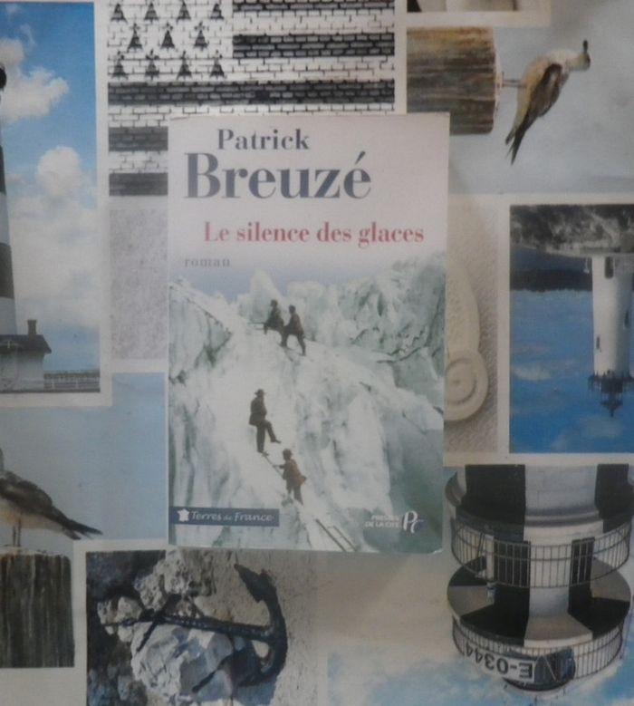 Le silence des glaces de Patrick Breuzé