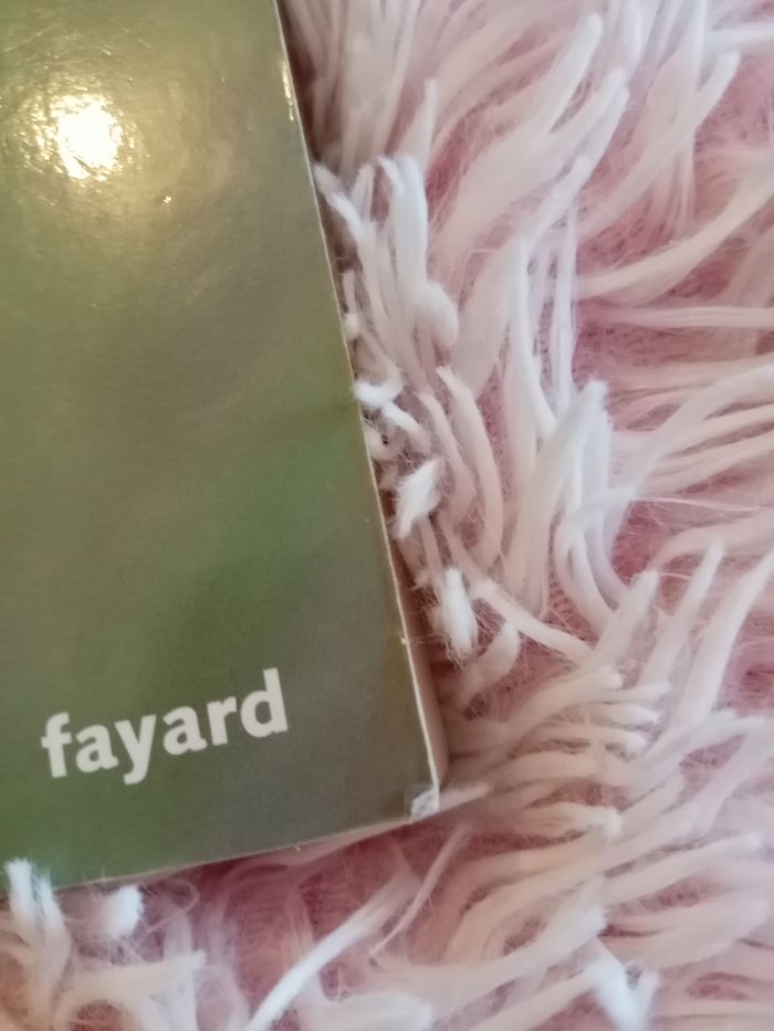 Livre - photo numéro 4