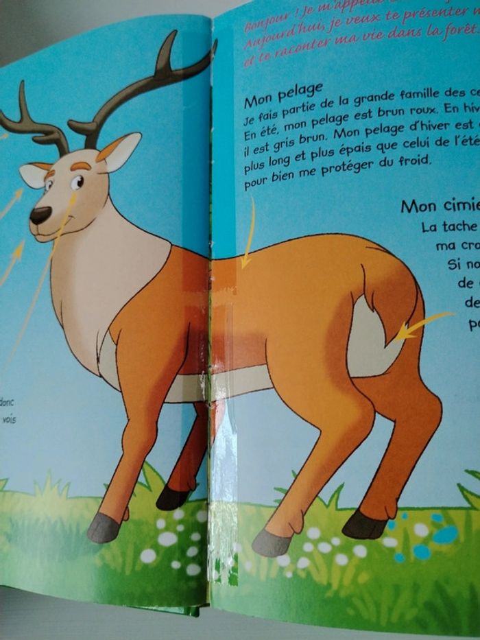 Altaya Les animaux de la forêt n°1 Le cerf - photo numéro 5
