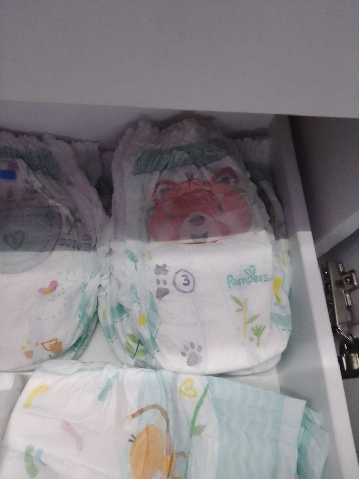 300 couché culotte Pampers