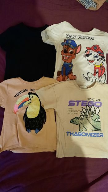 Lot de Tee-shirt manche courte garçon