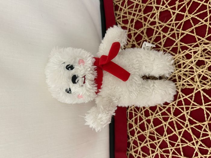 DOUDOU PELUCHE EDITIONS AUZOU OURS BLANC ECHARPE ROUGE 20cm