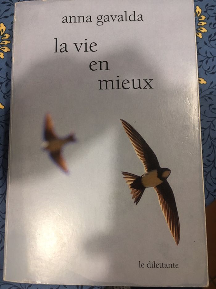 La vie en mieux de Anna Gavalda