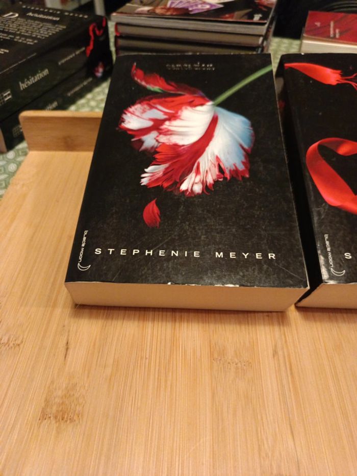 Livre Twilight chapitre 2&3 en bon état - photo numéro 2