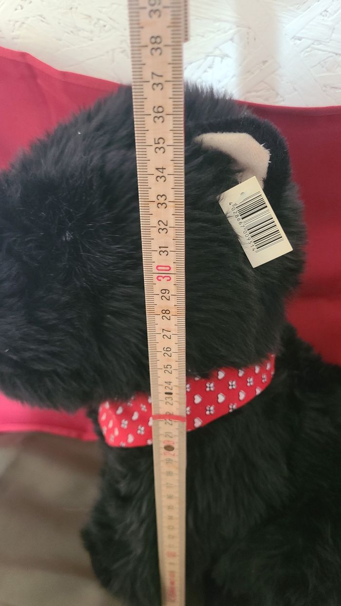 Chien Scottish Terrier Noir - photo numéro 7