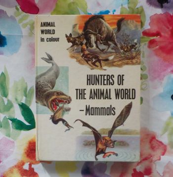 Hunters of the animal world - Mammals Animal world in colour M. Burton