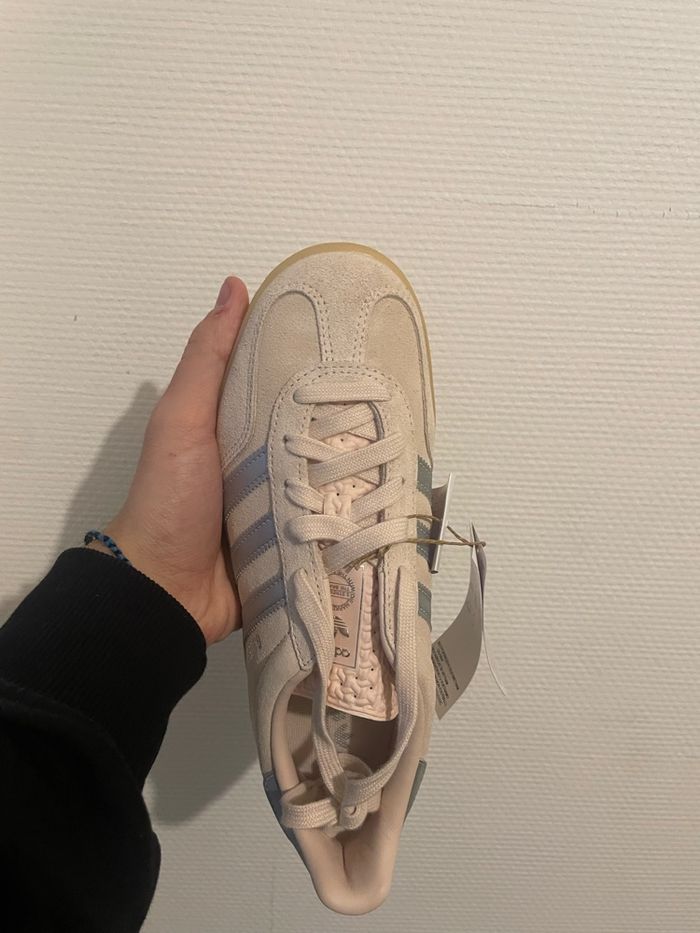 Gazelle rose - photo numéro 5