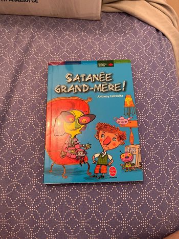 Livre Satanée grand mere