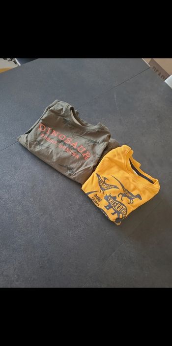 Lot 2 sweat dinosaure Vertbaudet 6 ans