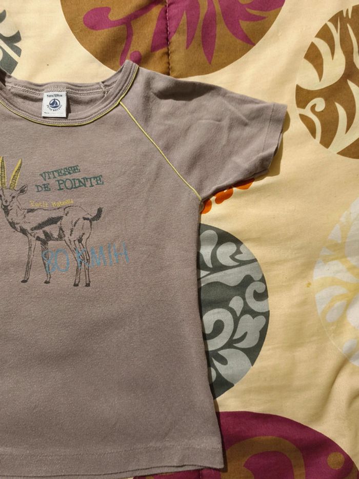 Tee shirt Petit Bateau 5 ans - photo numéro 3
