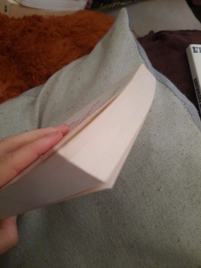 L'adolescent et la foi de leglise - photo numéro 5