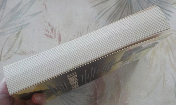 Le sang du temps de Maxime Chattam Ed. Michel Lafon - photo numéro 4