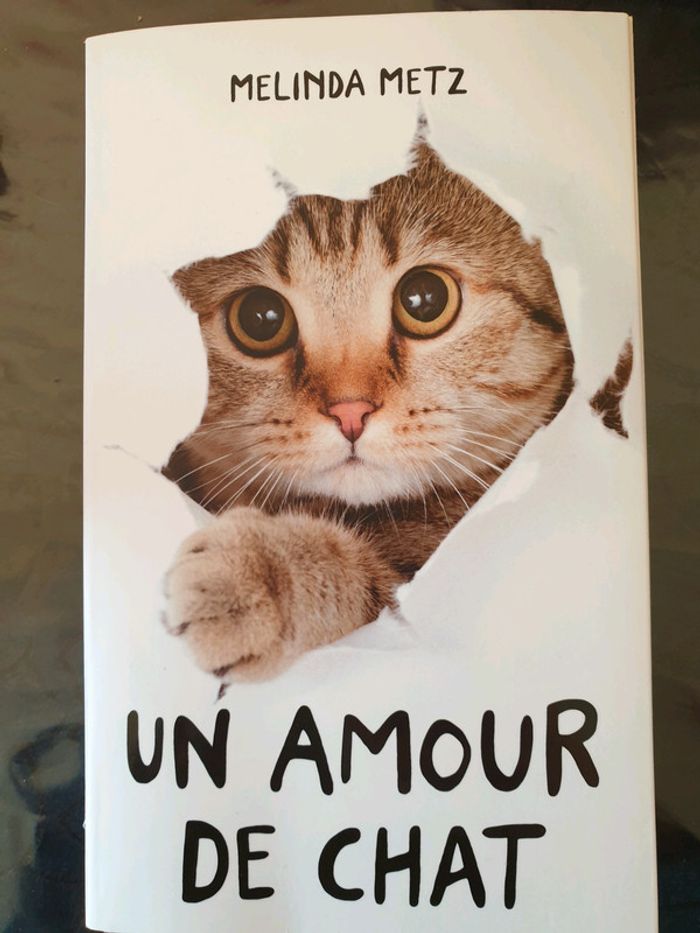 Un amour de chat