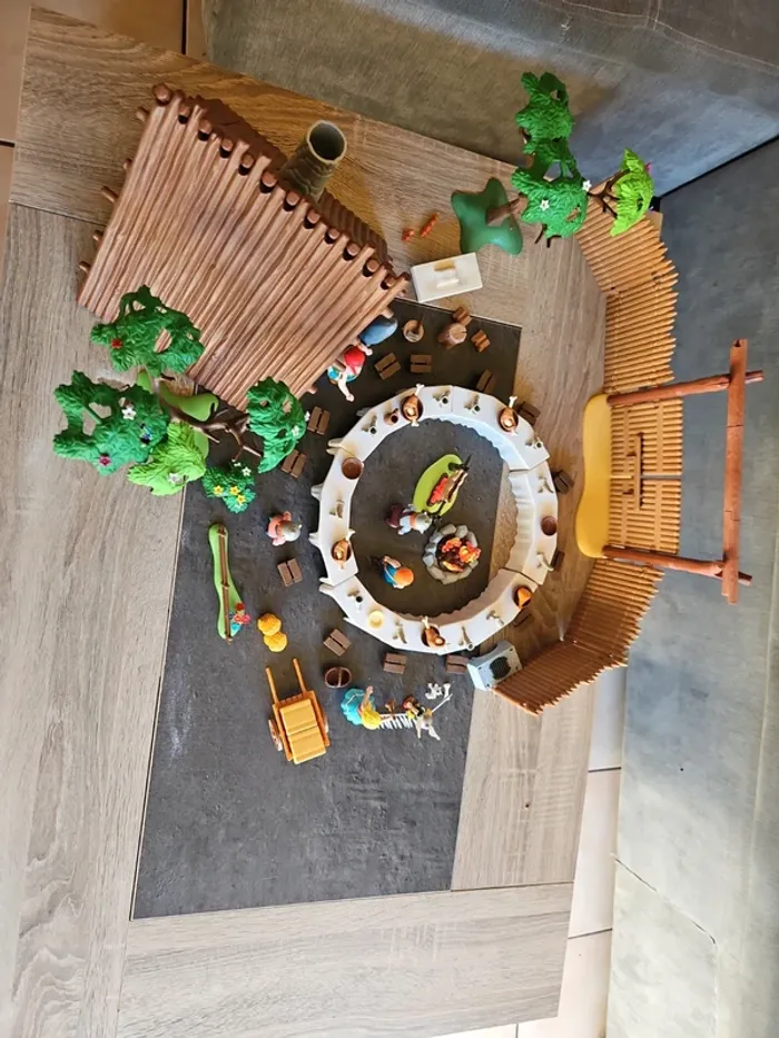 Village playmobil astérix et obelix