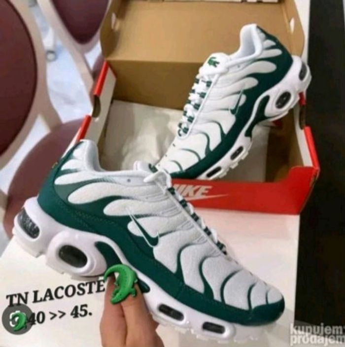 Tn Lacoste