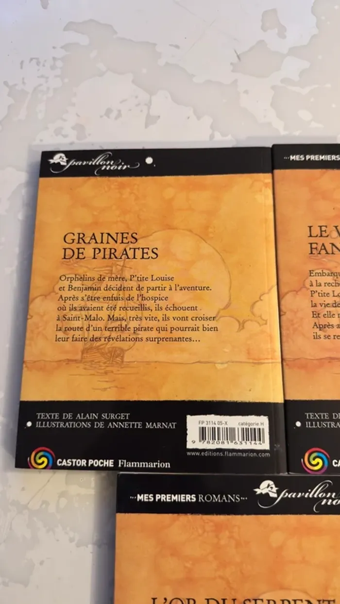 📚 Lot complet – Collection Les Frères Faucons 5 tomes – Alain Surget / Annette Marnat - photo numéro 13