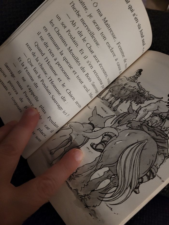 livre le chat qui s'en va tout seul (1e) - photo numéro 4