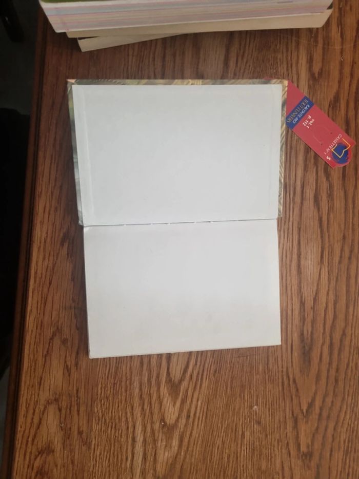 Notre Dame de Paris Victor Hugo - photo numéro 5