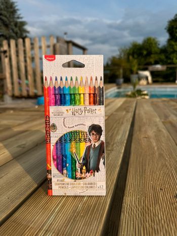 Lot de 12 crayons de couleur Harry Potter