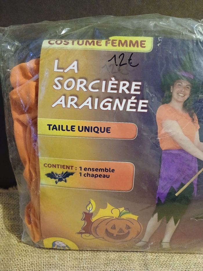Déguisement la sorcière araignée - photo numéro 3
