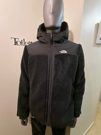 Veste  the north face 