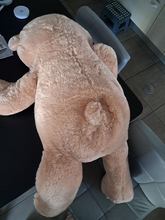 Peluche ours - photo numéro 2