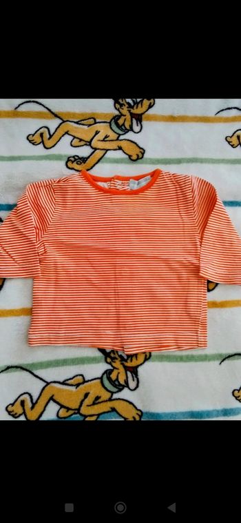 T-shirt bebe