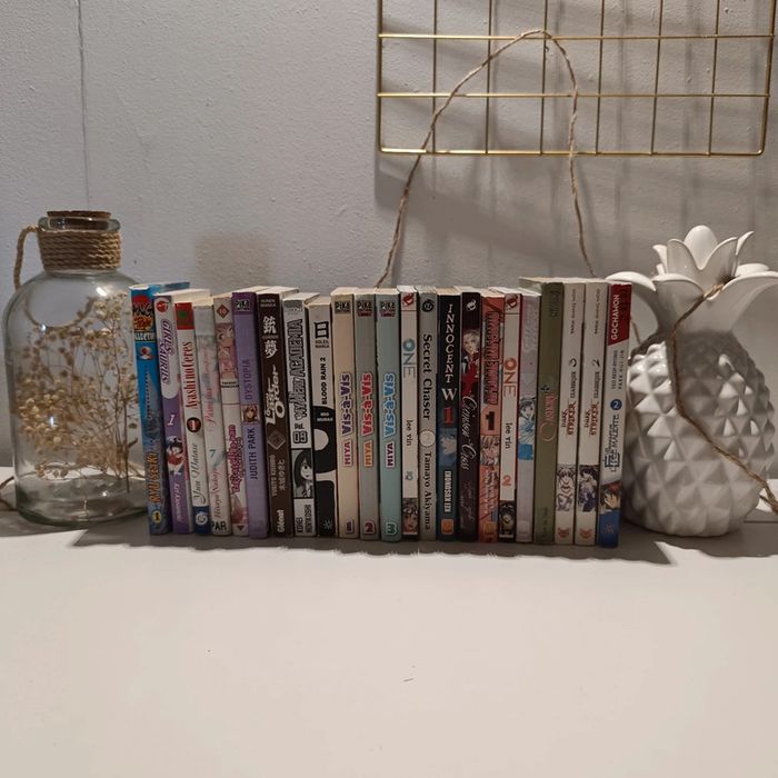 Manga 1€ pièce