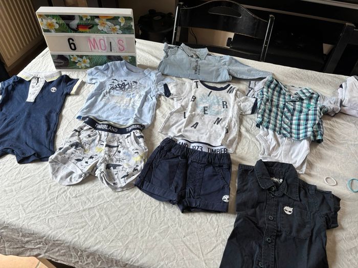 Lot timberland