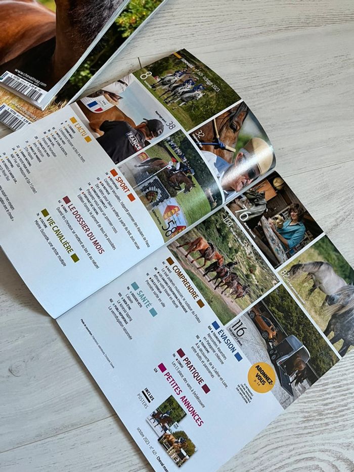 Lot cheval magazine 2023 - photo numéro 7