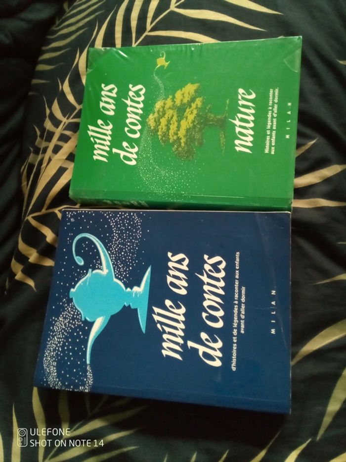 Milles de contes , lot de 2 gros livres vintages