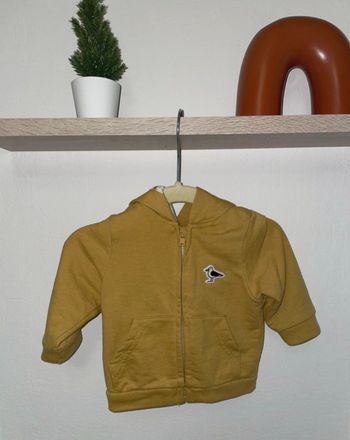 Gilet