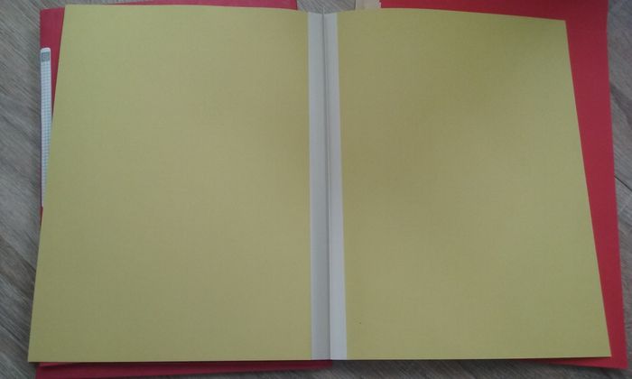 Lot de chemises cartonnées - photo numéro 4