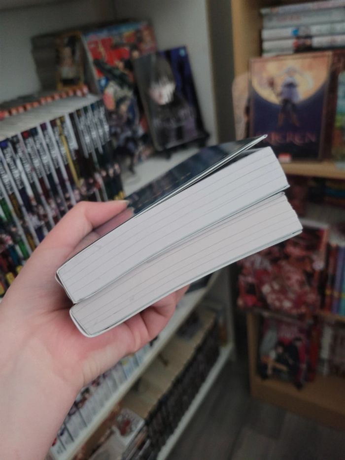 Lot deux romans du manga mashle - photo numéro 4