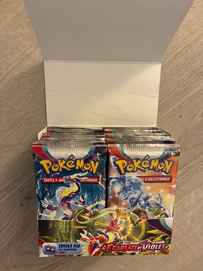 Display écarlate et violet non scellée - photo numéro 2