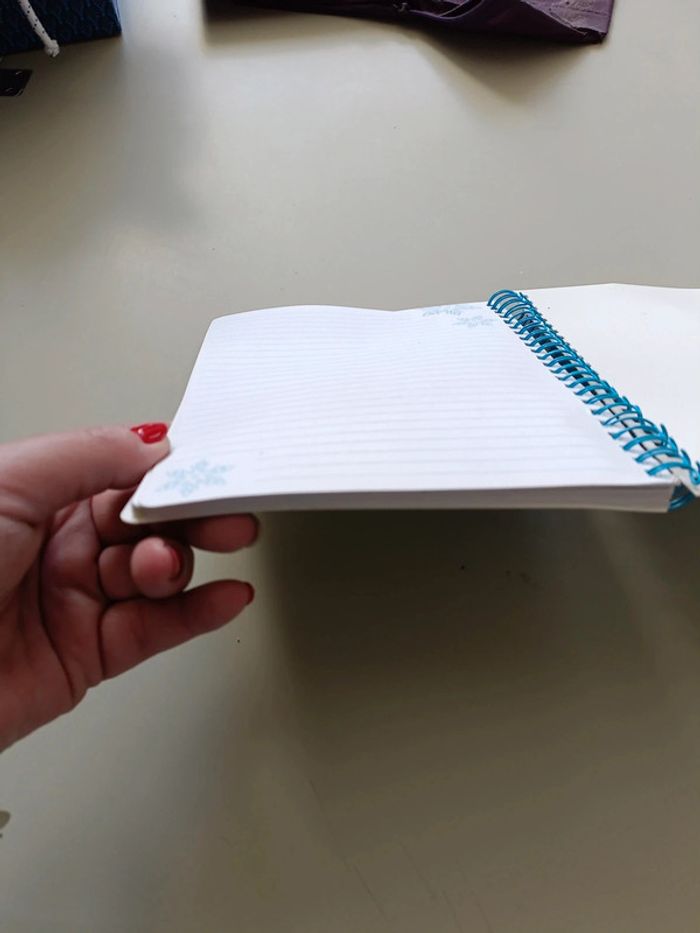 Cahier pour écrire la reine des neiges - photo numéro 6