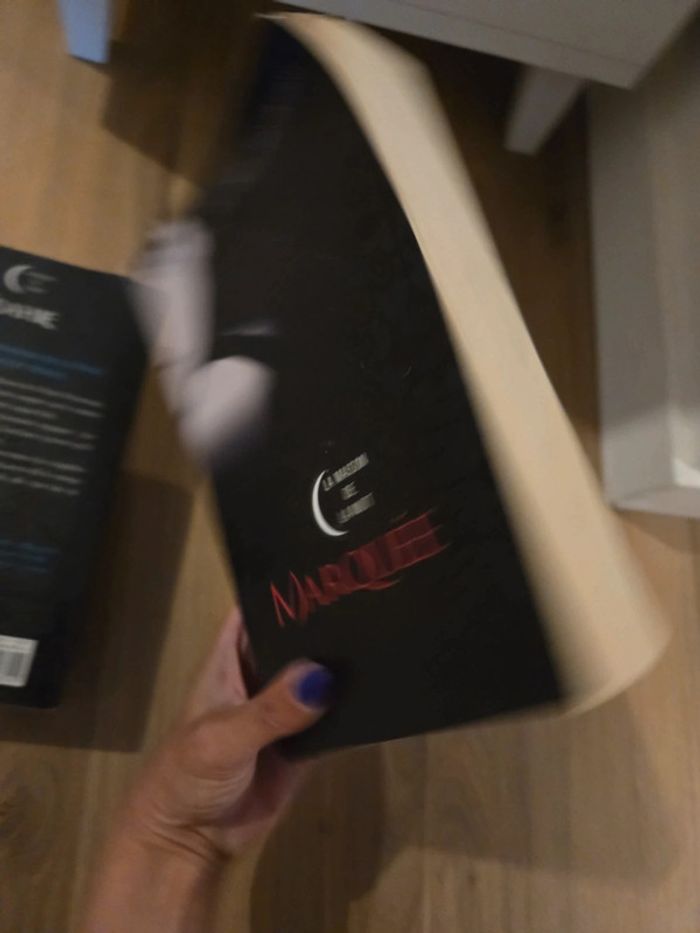 Lot de 3 livres la maison de la nuit marquée trahie choisie - photo numéro 16