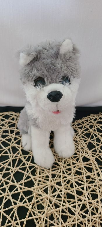 Peluche Chien Husky roda