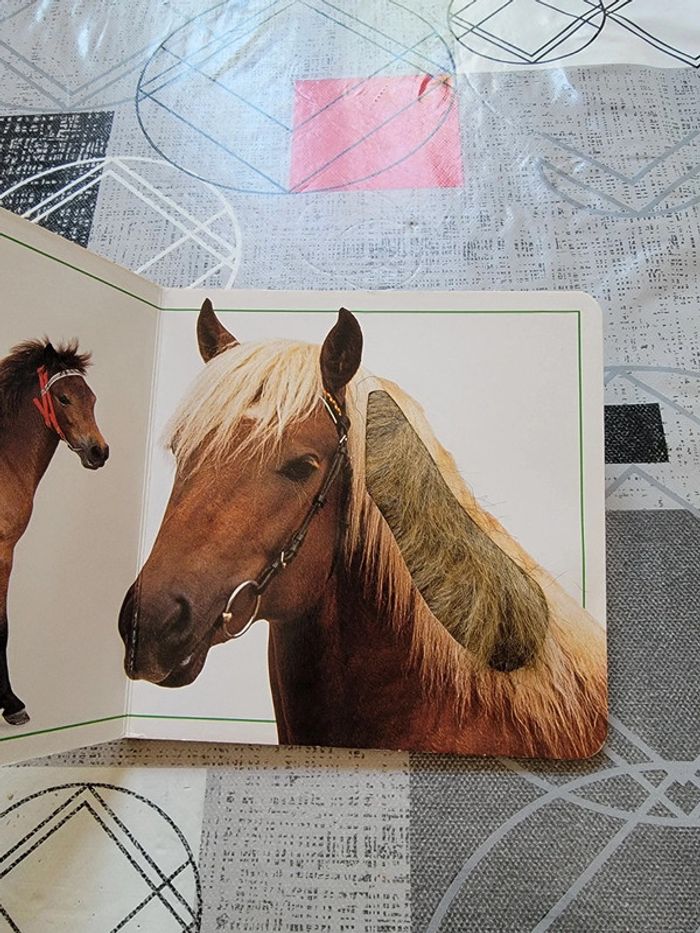 Touc à tout poneys - photo numéro 8
