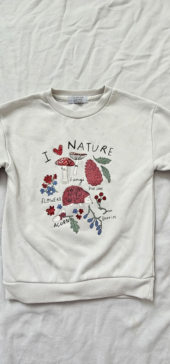 Pull enfant de la marque Primark Taille 5-6 ans - photo numéro 3