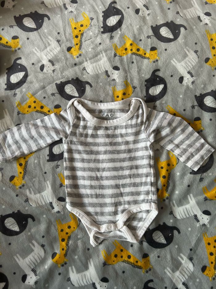 Boddi - photo numéro 2