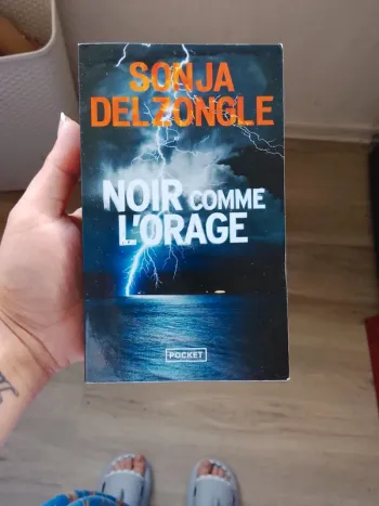 Livre de Sonja delzongle