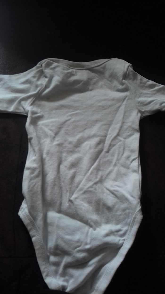 body ML - photo numéro 2