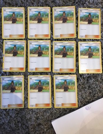 Cartes Pokémon dresseur supporter